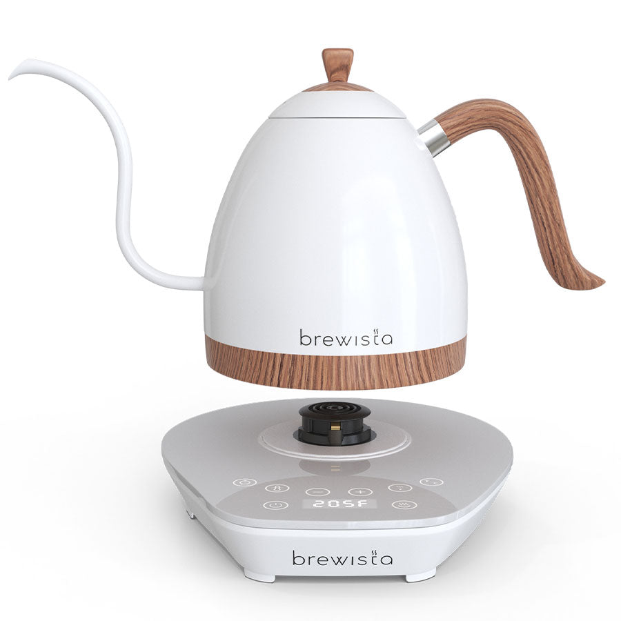 Brewista Artisan 0.6l Gooseneck Variable Wasserkocher