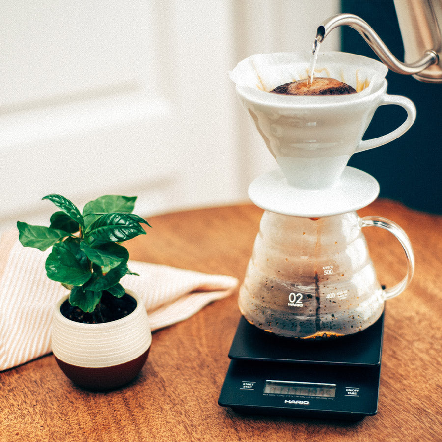 Hario V60 Waage